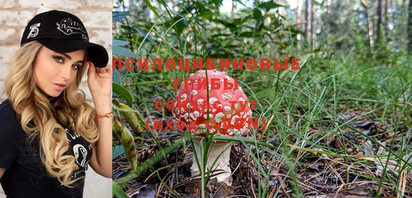 кристаллы Горняк