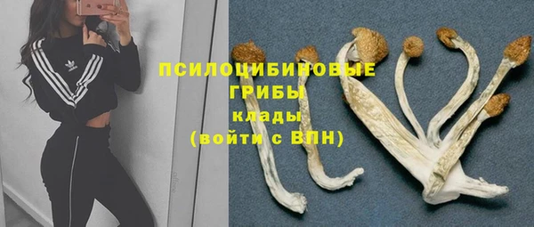 мет Горнозаводск